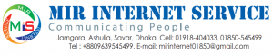 Mir Internet Service